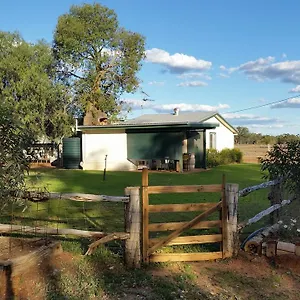 Bush , Charleville Australia